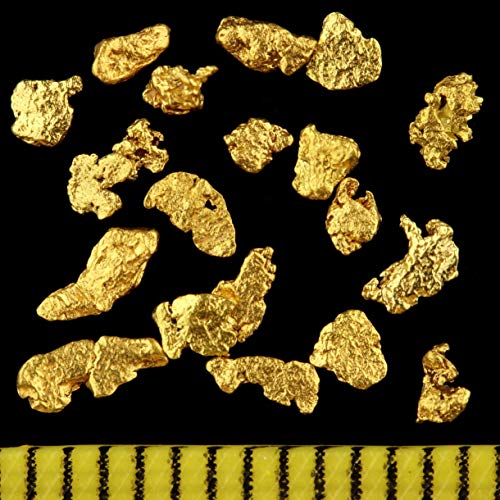 Echte Goldnuggets mit 20-23 Karat aus Alaska inkl. Echtheitszertifikat ! TOP-Wertanlage seltener wie Goldbarren ! Wertiges Geschenk für alle Anlässe. Größe je Nugget 2-3 mm (1 Gramm) von Gold-Fieber