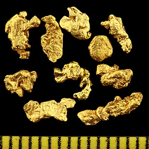 Echte Goldnuggets mit 20-23 Karat aus Alaska inkl. Echtheitszertifikat ! TOP-Wertanlage seltener wie Goldbarren ! Wertiges Geschenk für alle Anlässe. Größe je Nugget 2-5 mm (1 Gramm) von Gold-Fieber