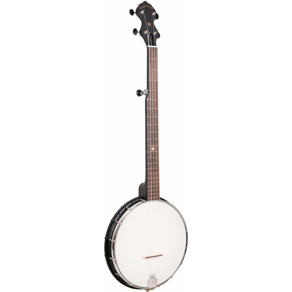 Gold Tone AC-1FL 5-String Fretless Open Back Banjo with Gig Bag Gold Tone AC-1FL 5-String Fretless Open Back Banjo with Gig Bag von Gold Tone