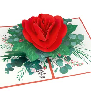 Goldbek® Popup Karte Kiss from a Rose Geschenkidee als Blumenersatz | Ideal zum Geburtstag | Mit Umschlag von Goldbek