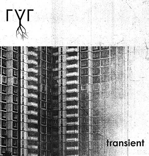 Transient [Vinyl LP] von Golden Antenna Records (Broken Silence)