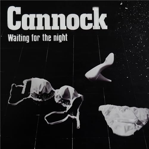 Waiting For The Night [Vinyl LP] von Goldencore Records (Zyx)