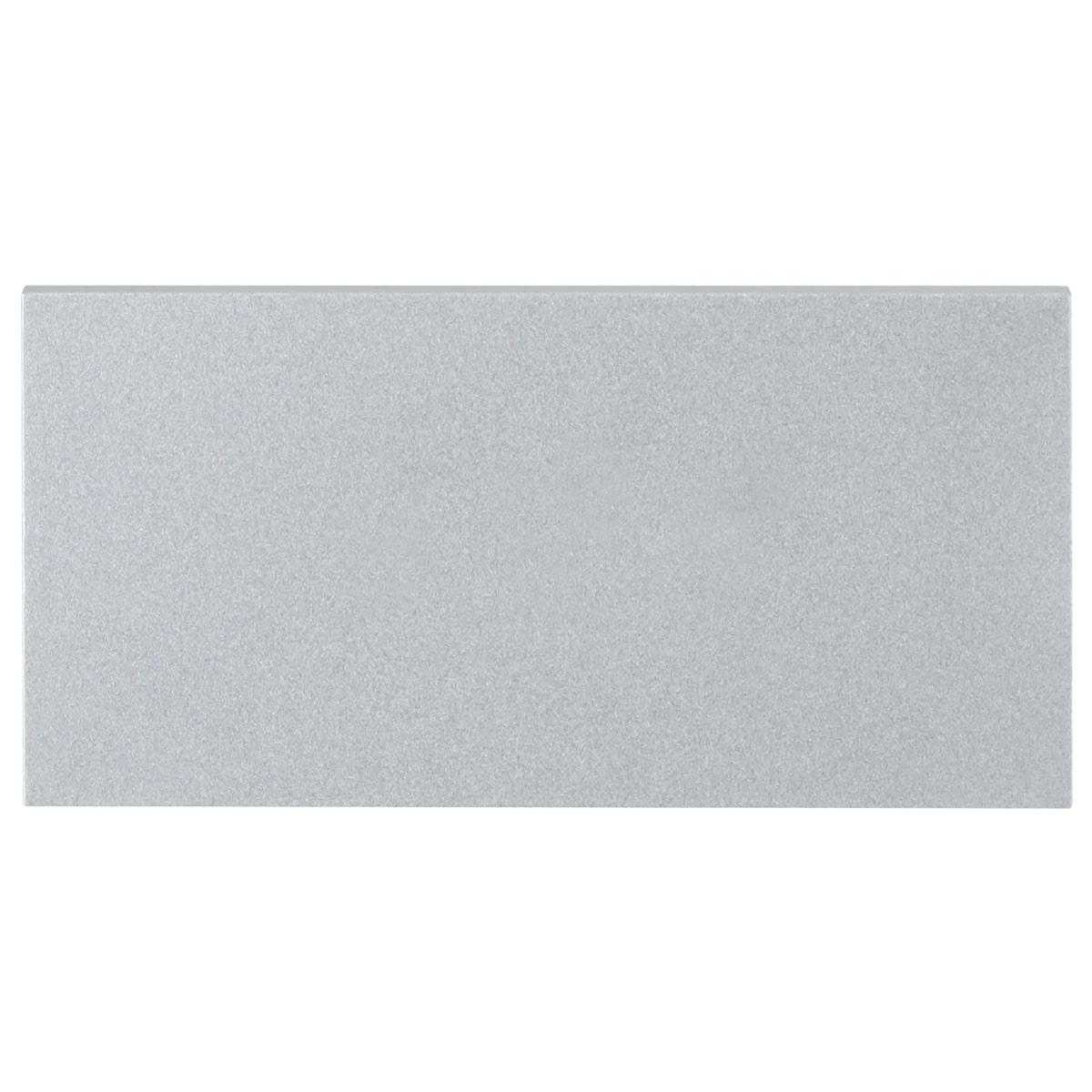 GOLIATH Hybrid IP & 2-Draht Blanko Modul Silber (Aluminium Leermodul Erweiterung) von Goliath-Intercom