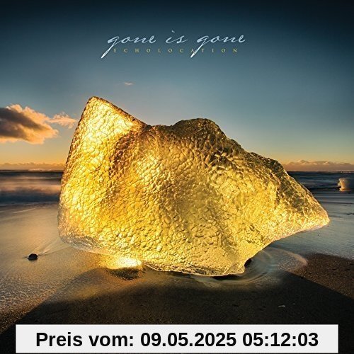 Echolocation von Gone Is Gone