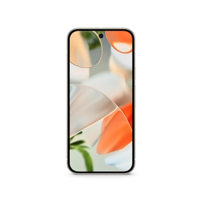 Google Pixel 9 12/256 GB Porcelain Android 14 Smartphone Google Pixel 9 12/256 GB Porcelain Android 14 Smartphone von Google