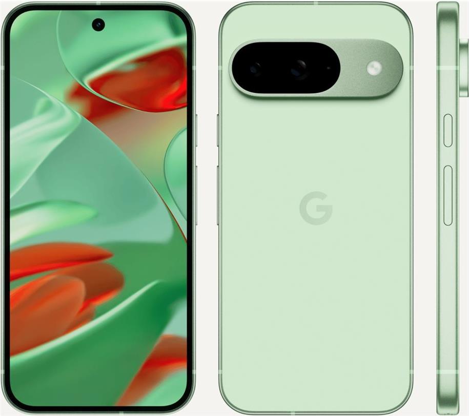Google Pixel 9 - 128 GB - Wintergreen (GA05840-GB) von Google