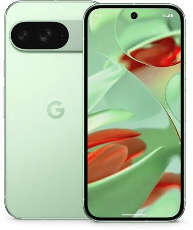 Google Pixel 9 128GB Wintergreen von Google