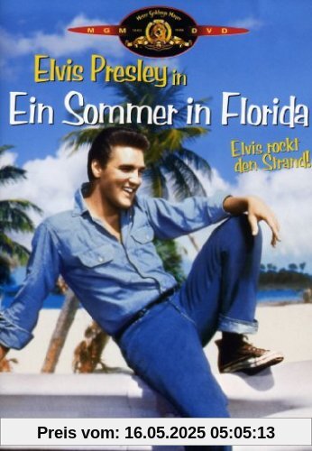 Ein Sommer in Florida Ein Sommer in Florida von Gordon Douglas