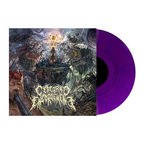 Cerebral Chronicles [Vinyl LP] von Gore House Prod