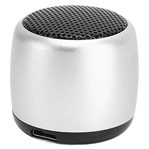 Bluetooth-Lautsprecher, Tragbare Kabellose Lautsprecher mit HD-Sound, Schwerer Subwoofer, Wiederaufladbarer Kleiner USB-Lautsprecher für den Innen- und Außenbereich (Silber) von Goshyda