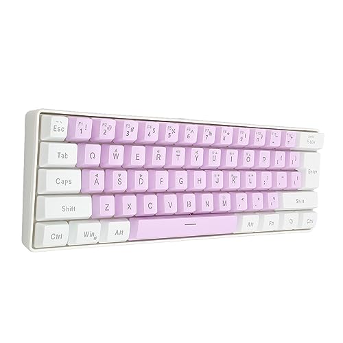 Goshyda 60% Kabelgebundene Mechanische Gaming-Tastatur, 61 Tasten, RGB-Hintergrundbeleuchtung, Kompakte Mechanische Tastatur, Kontrastfarbene Tastenkappen, PC-Gaming-Tastatur, (Weiß Lila) von Goshyda