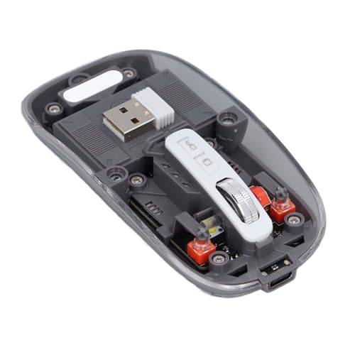 Goshyda Kabellose Bluetooth-Maus, 2,4 G BT1 BT2 3-Modus-Silent-Maus mit USB-Empfänger, 800 1200 1600 DPI Einstellbar, Transparente Maus für PC Laptop für OSX für Android für Windows (Grey) von Goshyda