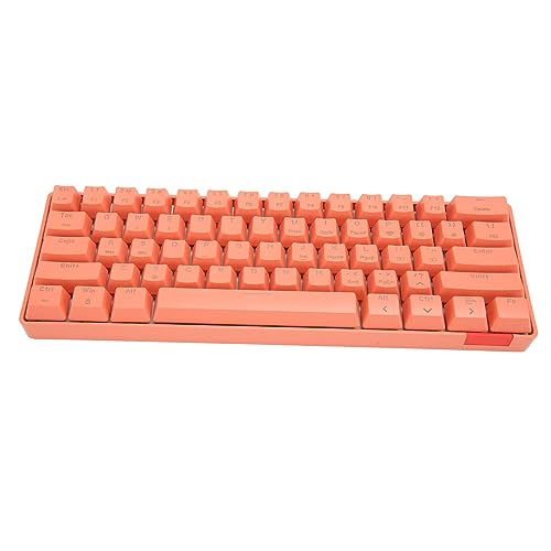 Goshyda Mechanische Gaming-Tastatur, 61 Tasten, BT5.0, Kabelgebunden, Dual-Modus, RGB-Hintergrundbeleuchtung, Mechanische Tastatur, Typ-C-Kabel, Kompakte Gaming-Tastatur, für Windows für von Goshyda