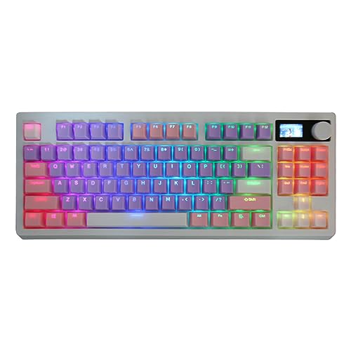 Goshyda Mechanische Tastatur, Bluetooth 5.0 USB C, Kabelgebunden, Hot-Swap-fähige Tasten, 16 RGB-Beleuchtungsfarben, Kabelgebundene Gaming-Tastatur für das Heimbüro von Goshyda