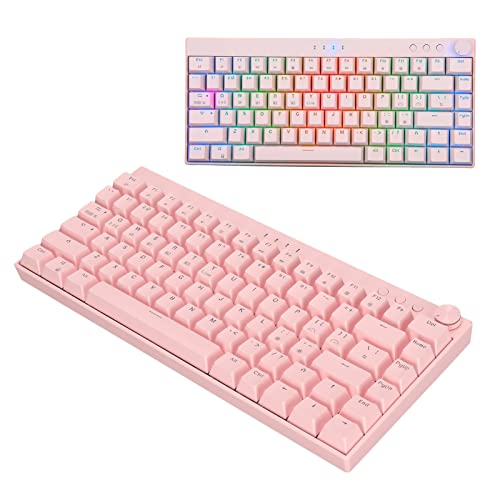 Goshyda Mechanische Tastatur, RGB-Hintergrundbeleuchtung, 2,4 G Wireless/Bluetooth/Typ C Verkabelt, 1800-mAh-Akku, Ergonomisches Design, Gaming-Tastatur mit 82 Tasten in Pink(Teeschaft) von Goshyda