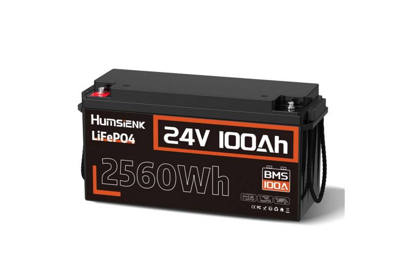 Humsienk HumsiENK 24V 100Ah LiFePO4 Lithiumbatterie für Bootstrolling,100A BMS Akku-Set, Niedertemperaturschutz, Solarzellen, Energiespeicher-Stromversorgung von Humsienk