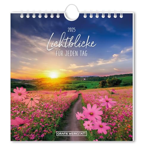 Postkartenkalender 2025 Lichtblicke: Postkartenkalender Postkartenkalender 2025 Lichtblicke: Postkartenkalender von Grafik-Werkstatt