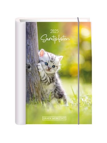 Terminplaner 2025 Samtpfoten: Terminplaner Hardcover von Grafik-Werkstatt