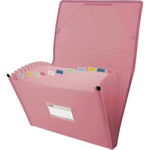Grafoplas Akkordeon-Akkordeon-Ordner, Folio-Größe, Rosa, 13 Positionen, halbhart, blickdicht, inkl. Sichtfenster, perfekter Ordner für Schuldokumente und Büro von Grafoplás