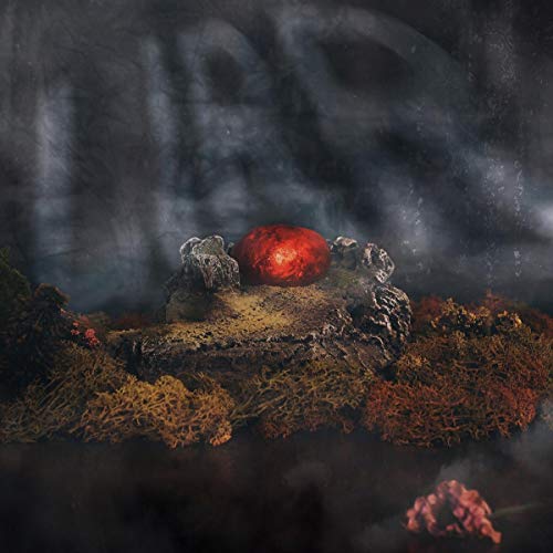 God'S on Our Side;Welcome to the Jungle God'S on Our Side;Welcome to the Jungle von Grand Hotel Van Cleef/Indigo