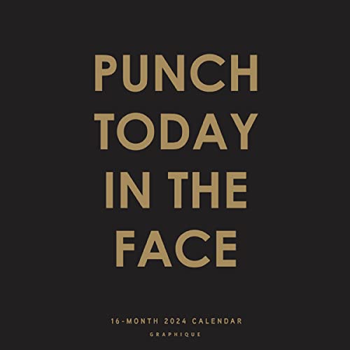 Graphique Wandkalender 2024 Punch Today in the Face | 30,5 x 30,5 cm | dickes Papier | Organizer für Zuhause und Büro | großes Monatsraster | 3 Sprachen & markierte Feiertage | 4 Monate Vorschauseite von Graphique