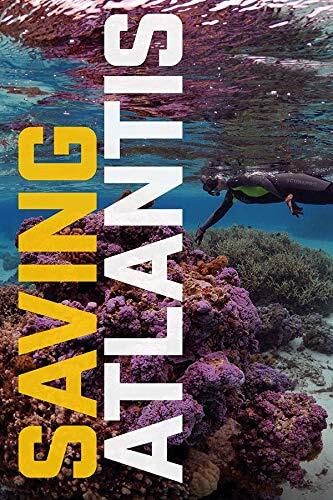 Dvd - Saving Atlantis [Edizione: Stati Uniti] (1 DVD) von Gravitas Ventures
