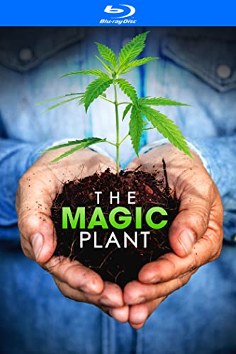 The Magic Plant [Region Free] [Blu-ray] von Gravitas Ventures