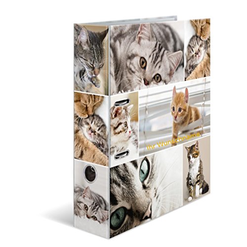 Herma Motivordner mit goldgefärbter Gravur / DIN A4 / 70mm breit / "Katzen" von Gravur by Livepac Office