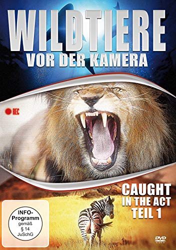 Wildtiere vor der Kamera - Caught in the Act (Teil 1) [DVD] von Great Movies GmbH