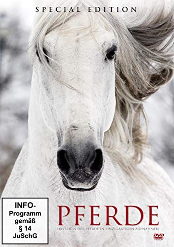 Pferde von Great Movies