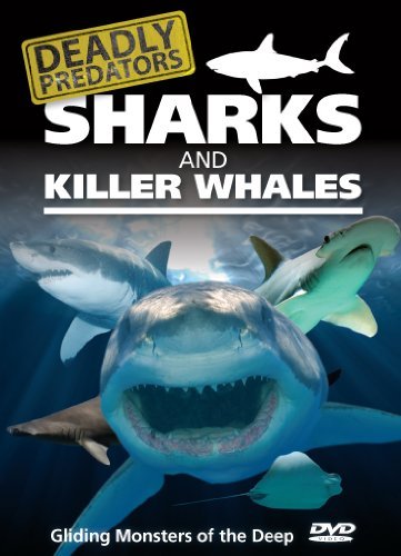 Deadly Predators - Sharks & Killer Whales [DVD] [2005] von Green Umbrella