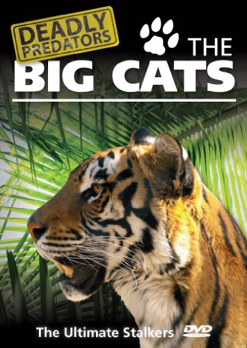 Deadly Predators The Big Cats [DVD] [2005] von Green Umbrella