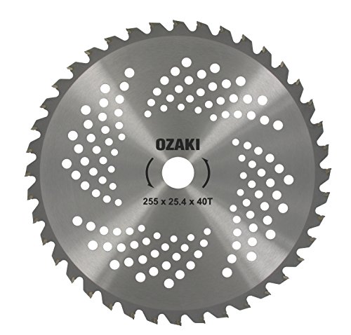 GREENSTAR – 40-Zahn-Klinge für Freischneider – Zähne mit Hartmetallspitze – Schnittbreite: 255 mm – Dicke 1,3 mm – Bohrung 25,4 mm von Greenstar