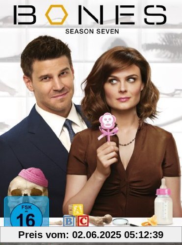 Bones - Season Seven [4 DVDs] von Greg Yaitanes