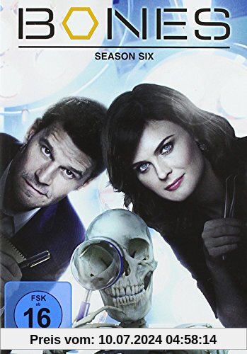 Bones - Season Six [6 DVDs] von Greg Yaitanes