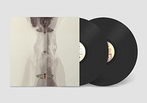 Lunz (Remastered 20th Anniversary Special Edition) [Vinyl LP] von Grönland (Rough Trade)