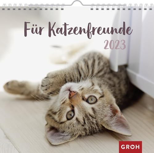 Für Katzenfreunde 2023: Wandkalender mit Monatskalendarium von Groh Verlag