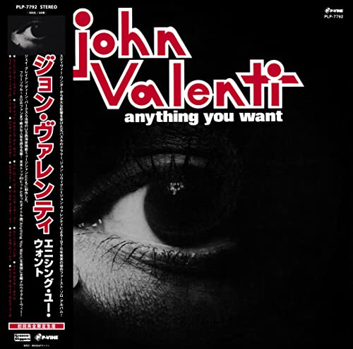 Anything You Want [Vinyl LP] von Groove Diggers