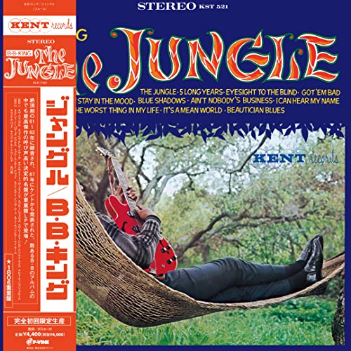 The Jungle [Vinyl LP] von Groove Diggers