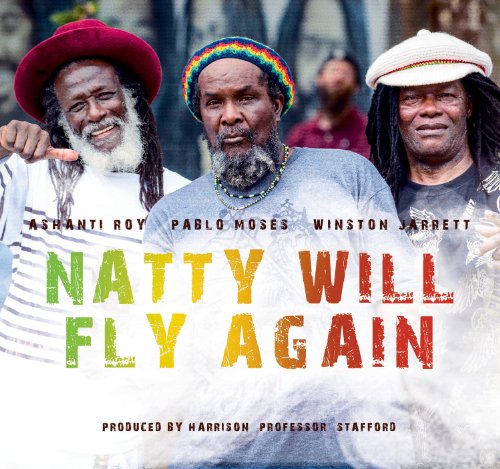 Natty Will Fly Again / Various von Groundation