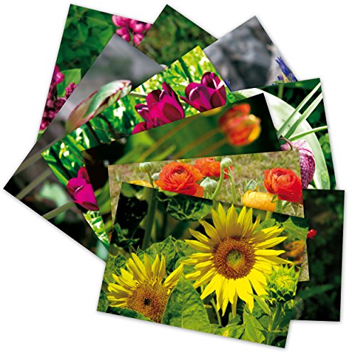 10 hochwertige Grußkarten "Blütezeit II", 10 Postkarten (10 Motive - Grüße von Herzen) Blumen, Blüten, Tulpen, Mohn von Grüße von Herzen