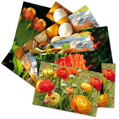 10 hochwertige Grußkarten "Orangene Sammlung", 10 Postkarten (5 Motive - Grüße von Herzen) Blumen, Ostereier, Kürbis von Grüße von Herzen