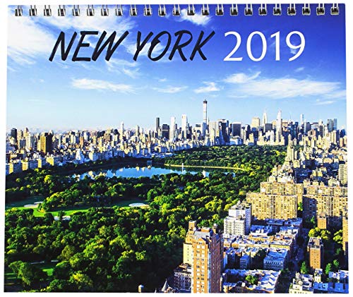 Grupo Erik Editores cs19002 – Kalender Desktop-2019 New York, 17 x 20 cm von Grupo Erik Editores