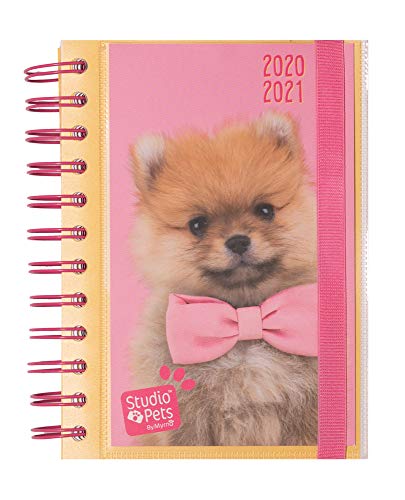 Erik Planer - Schulplaner Studio Pets Dogs - Kalender Tagesansicht 2020/2021 für Schüler - Terminplaner von Grupo Erik