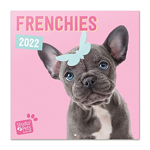 Grupo Erik Studio Pets Bulldogge Kalender 2022 Wandkalender 2022 Groß für 16 Monate von Grupo Erik