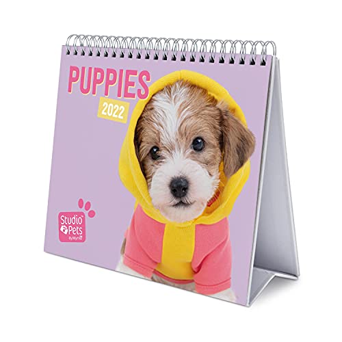 Grupo Erik Tischkalender 2022 - Studio Pets Hunde Kalender 2022 Tischkalender - Tischplaner 2022 Planer 2022 von Grupo Erik
