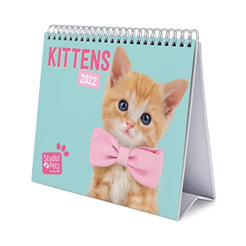 Grupo Erik Tischkalender 2022 - Studio Pets Katze Kalender 2022 Tischkalender - Tischplaner 2022 Planer 2022 von Grupo Erik