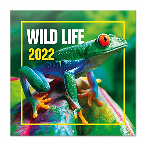 Grupo Erik Wildlife Kalender 2022 Wandkalender 2022 Groß für 16 Monate von Grupo Erik