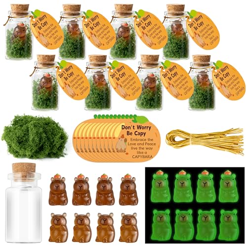 GudaAphrmix 24 Stück leuchtende Capybara-Glasflaschen-Ornamente, Dankeschön-Geschenk-Set, leuchtet im Dunkeln, Capybara mit Flasche, Wunschkarte als Geschenk für Erwachsene, Teenager, Schulpreise GudaAphrmix 24 Stück leuchtende Capybara-Glasflaschen-Ornamente, Dankeschön-Geschenk-Set, leuchtet im Dunkeln, Capybara mit Flasche, Wunschkarte als Geschenk für Erwachsene, Teenager, Schulpreise von GudaAphrmix