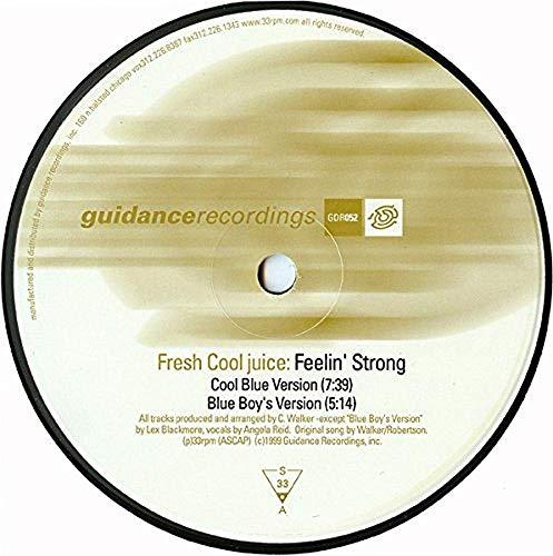 Feelin Strong [Vinyl Maxi-Single] von Guidance (Efa)